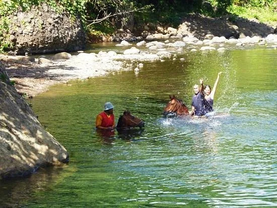 Naveria Heights Lodge Tours