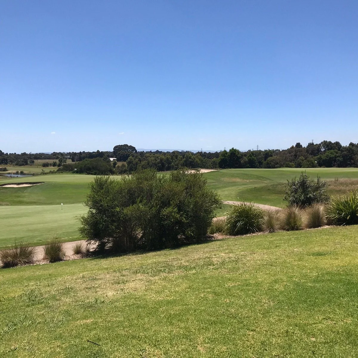 Settler's Run Golf