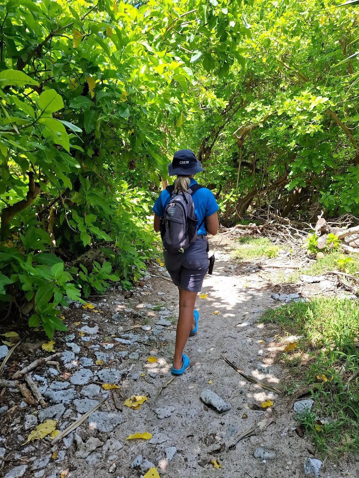 Lady musgrave experience
