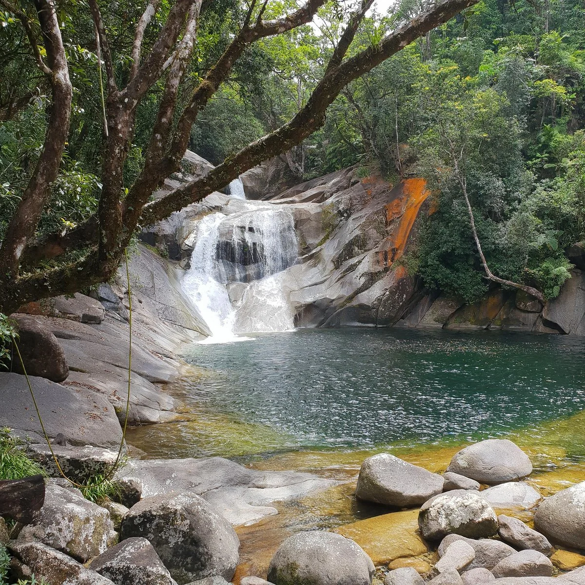 Wooroonooran Safaris