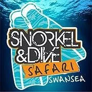 Snorkel & Dive Safari Swansea