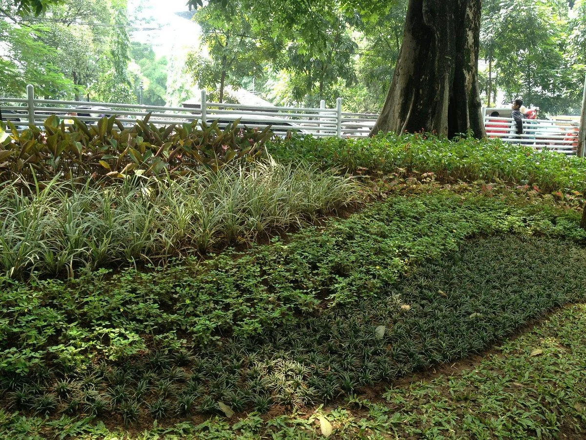 Lansia Park