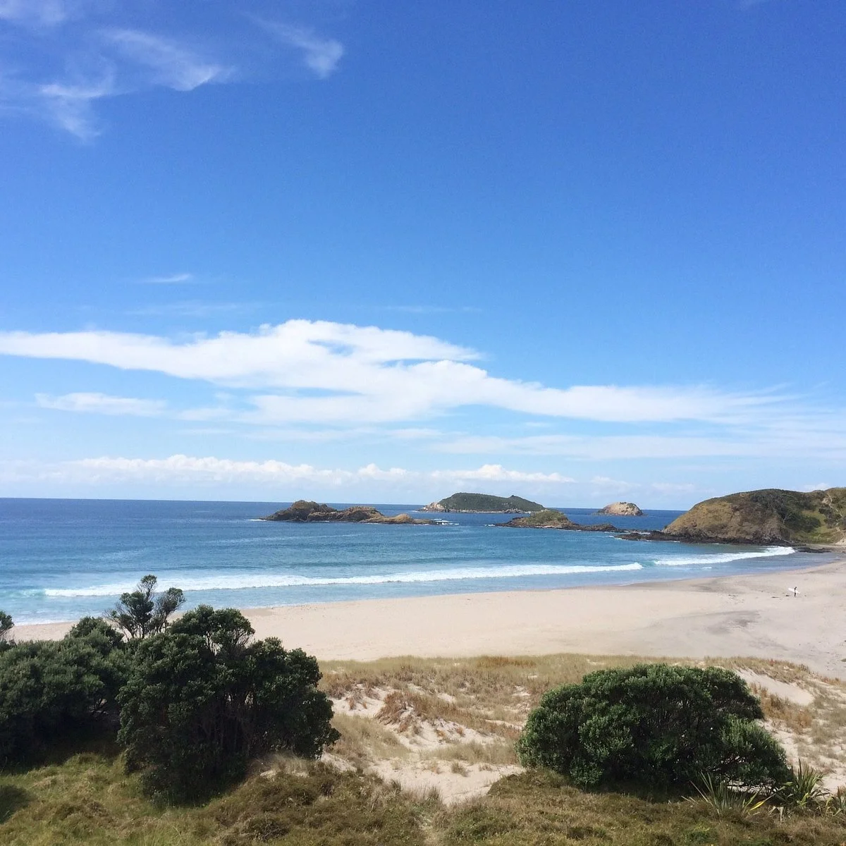 Trail Drop Whangarei