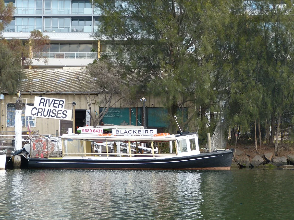 Blackbird Cruises