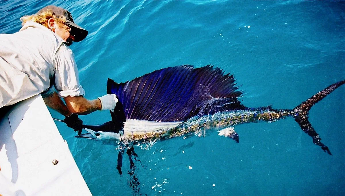Kuri Bay Sport Fishing Tours