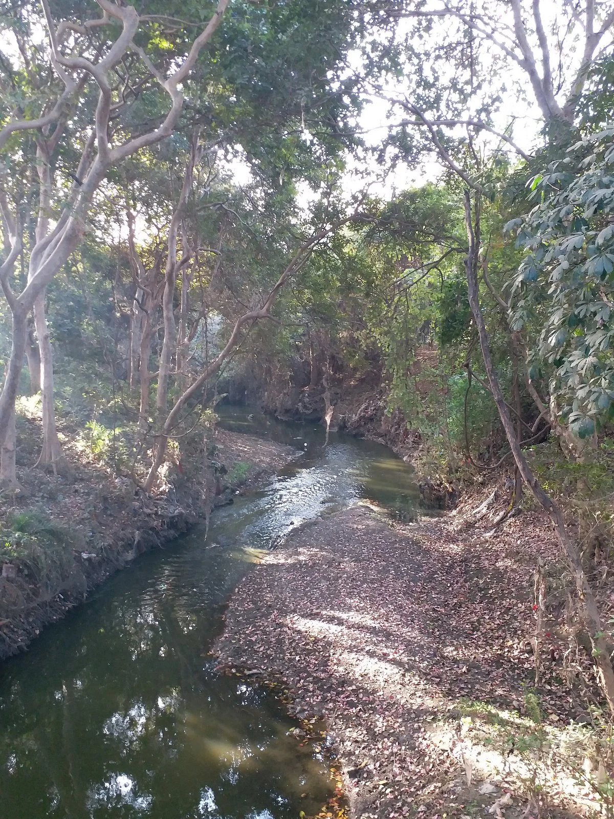 Swarna Jayanti Park