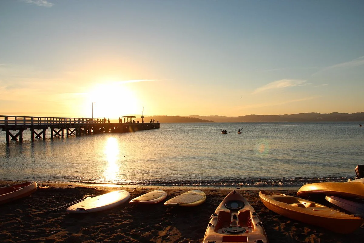 Wildfinder | Days Bay