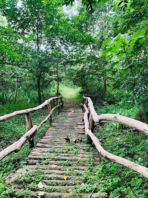 La Mesa Nature Reserve