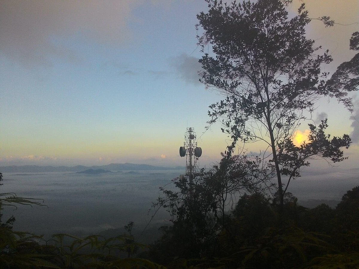 Rimba Bandar Bukit Bauk