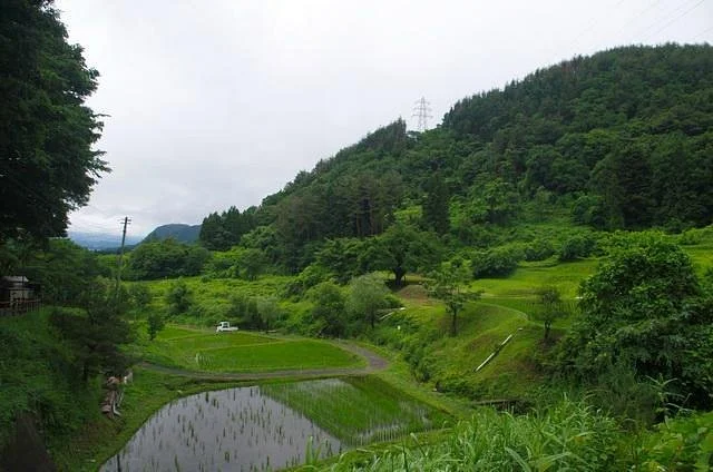Tsukiyono Hotaru no Sato Promenade