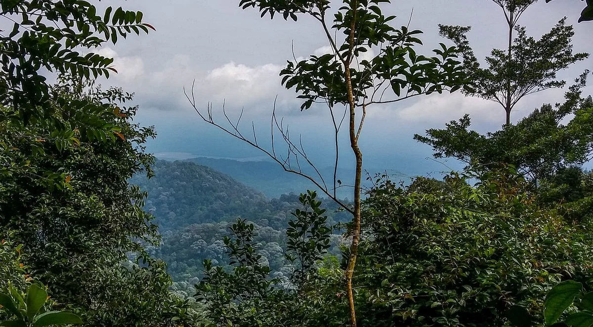 Gunung Pulai (Mount Pulai)
