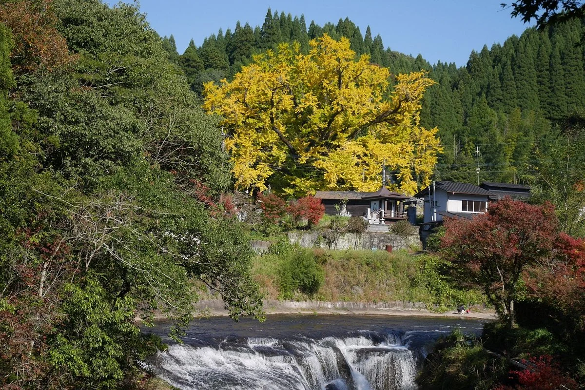 Shimonjyo Oichou