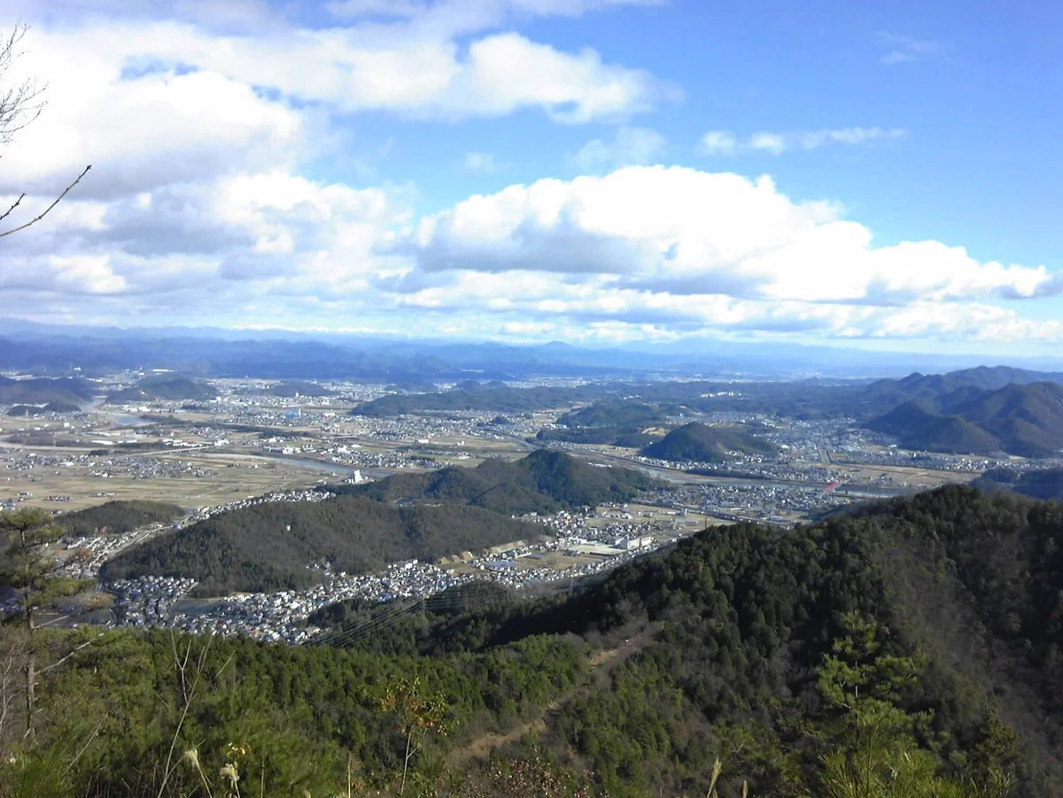 Mt. Dodogamine