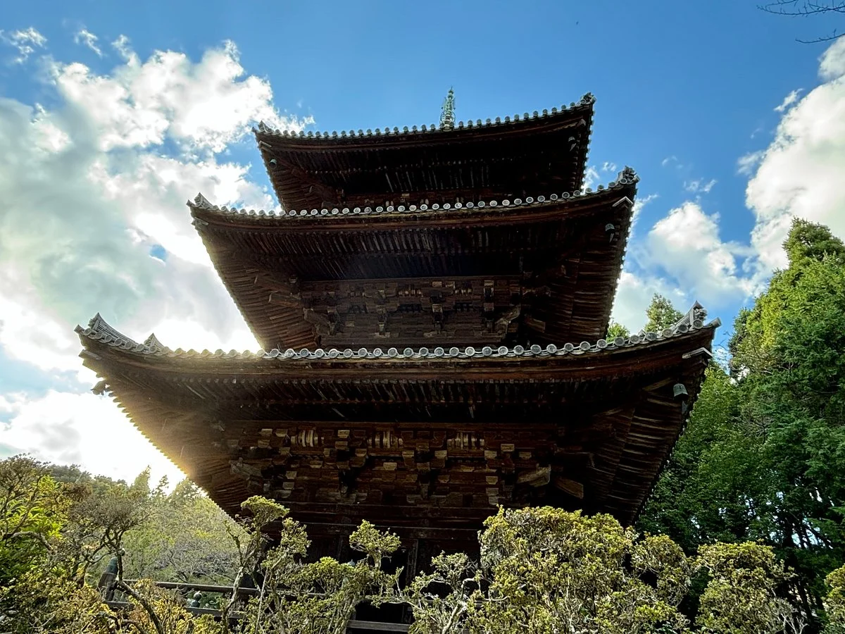 Mii-dera Temple (Onjo-ji Temple)