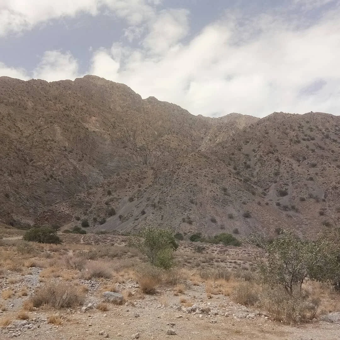 Hazarganji Chiltan National Park