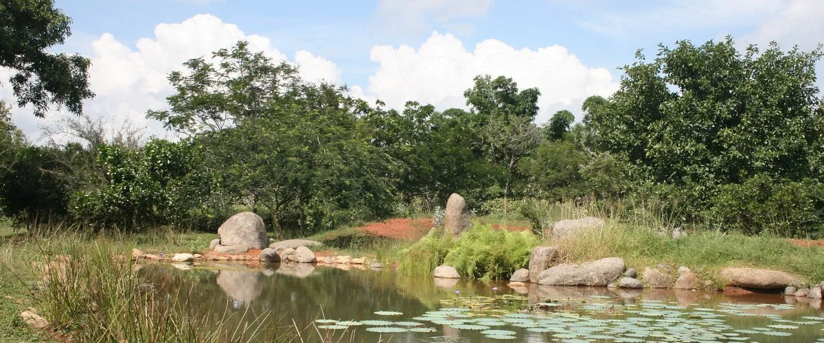 Auroville Botanical Gardens