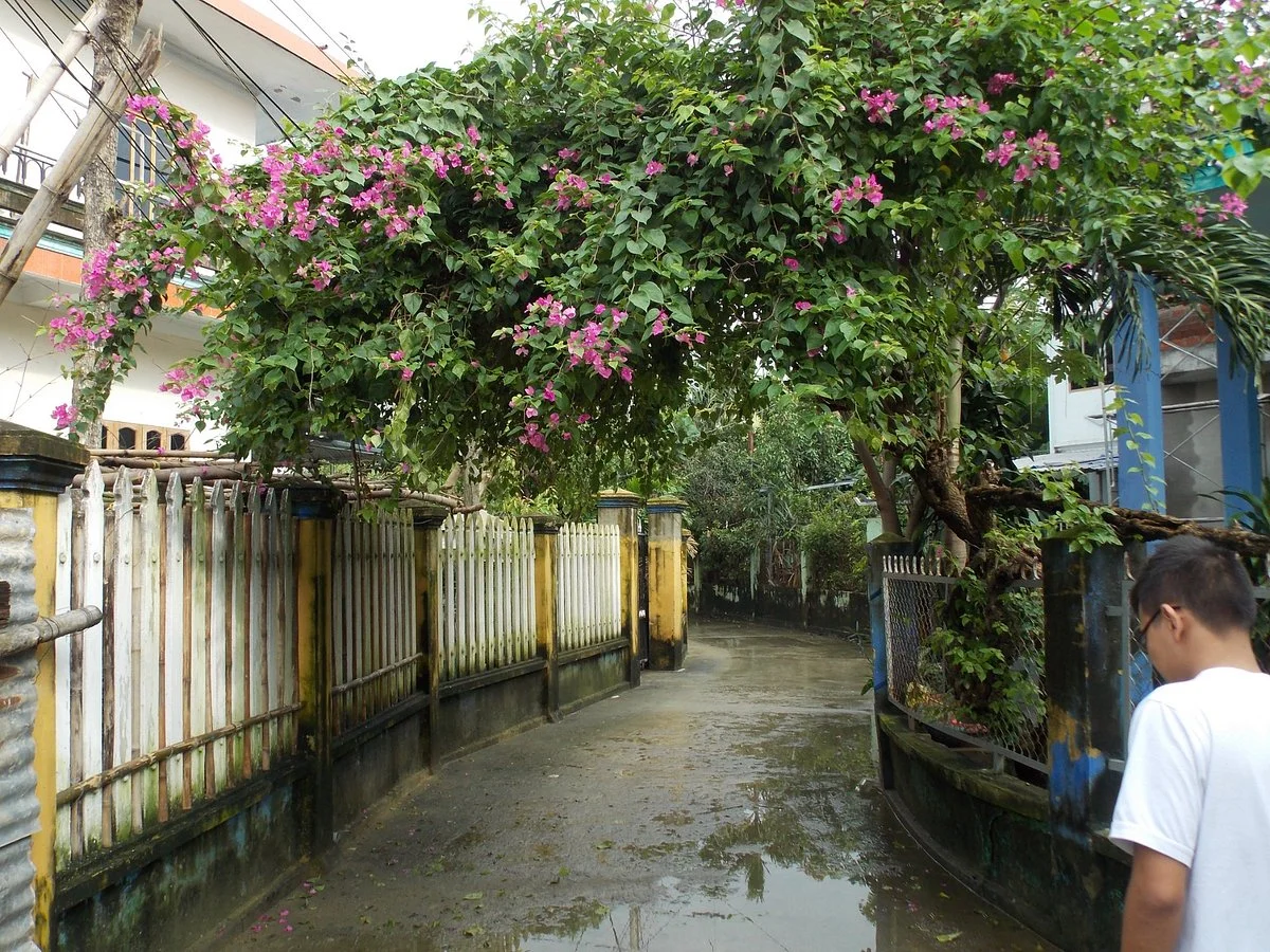 Phong Nam Ancient Village
