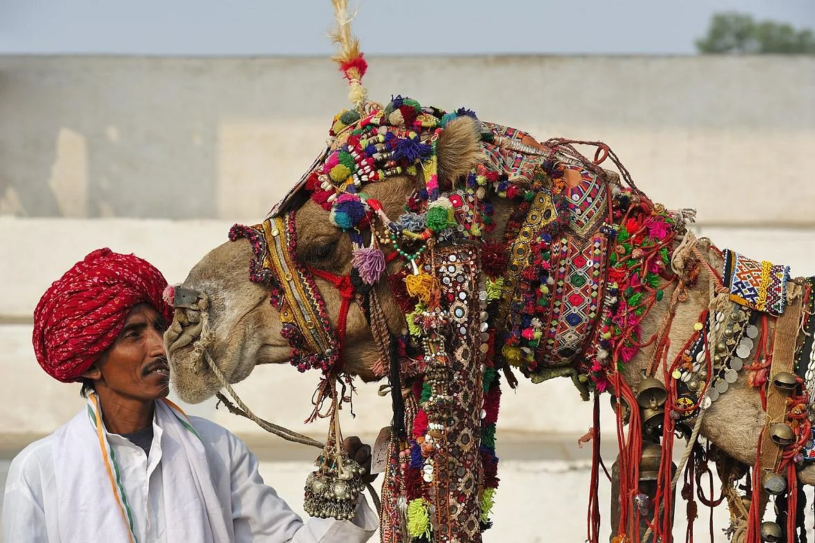 Rajasthan Tour Planner