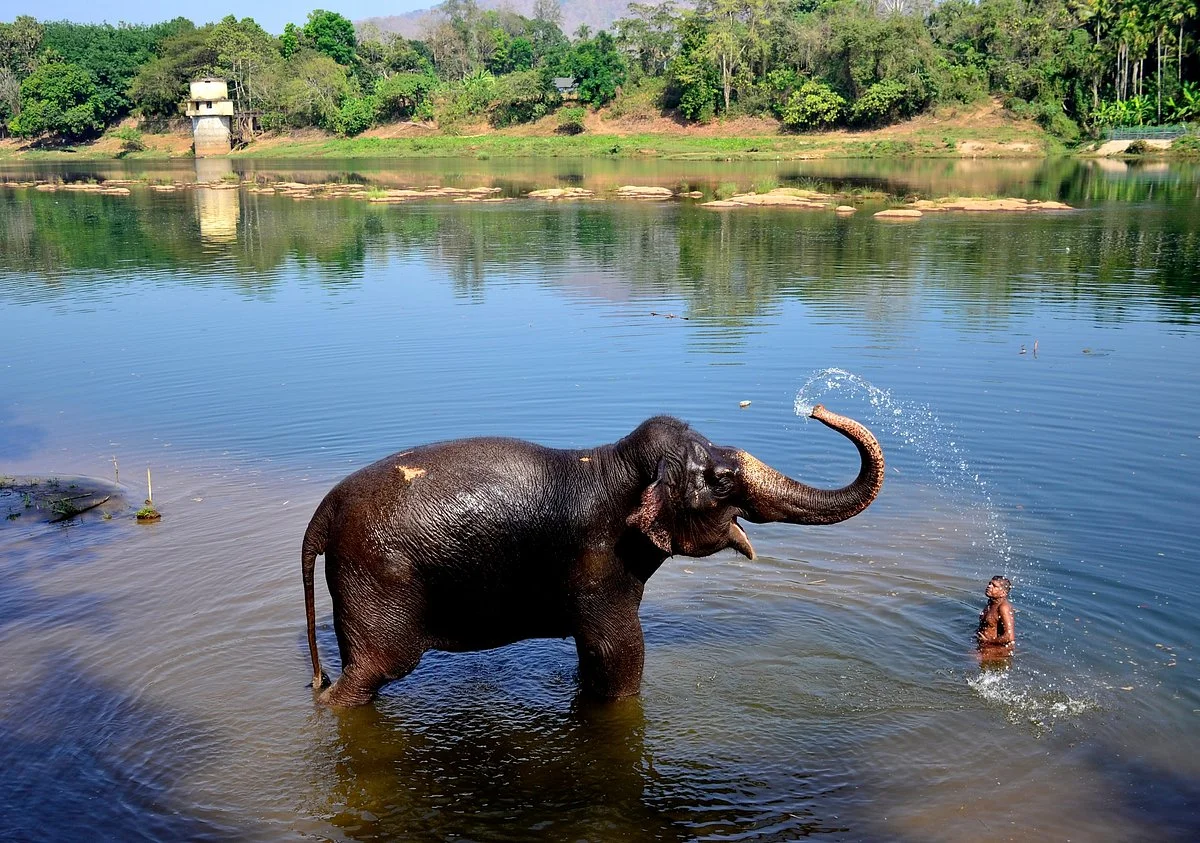 Kodanand Elephant Training Centre