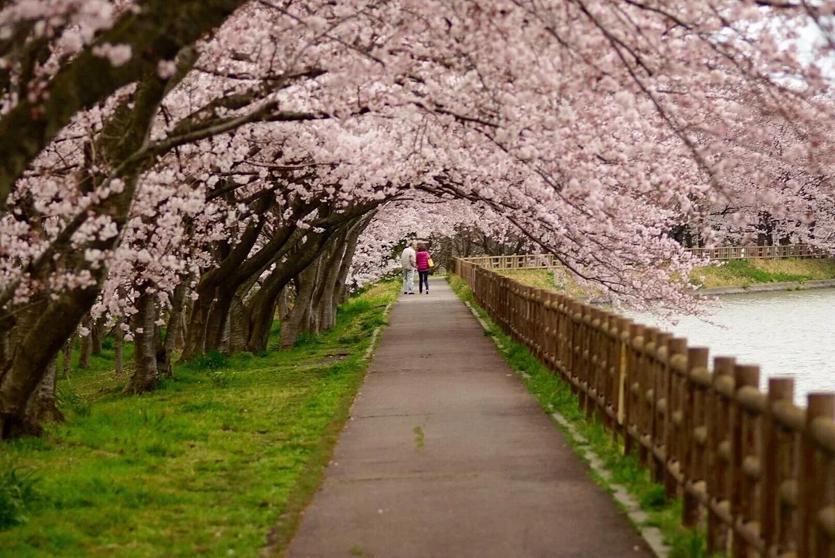 Ishigakiike Park
