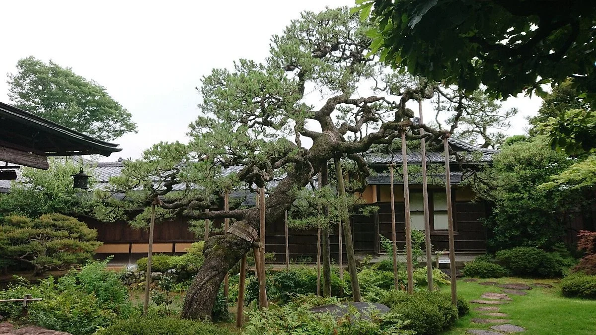 Kamihanawa Town Museum