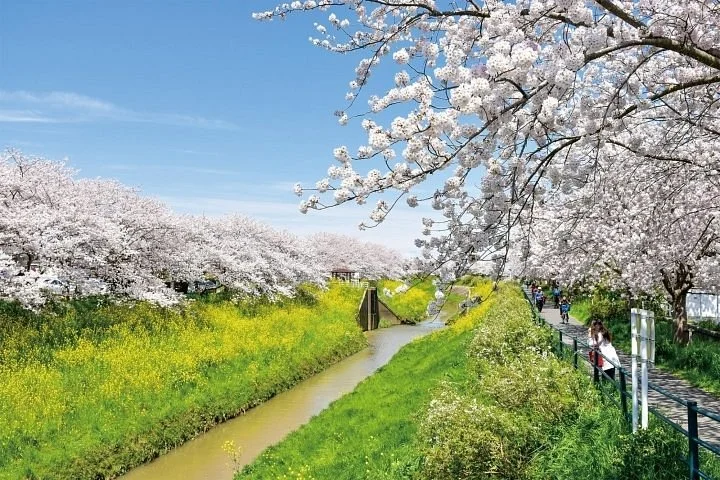 Toyoda River