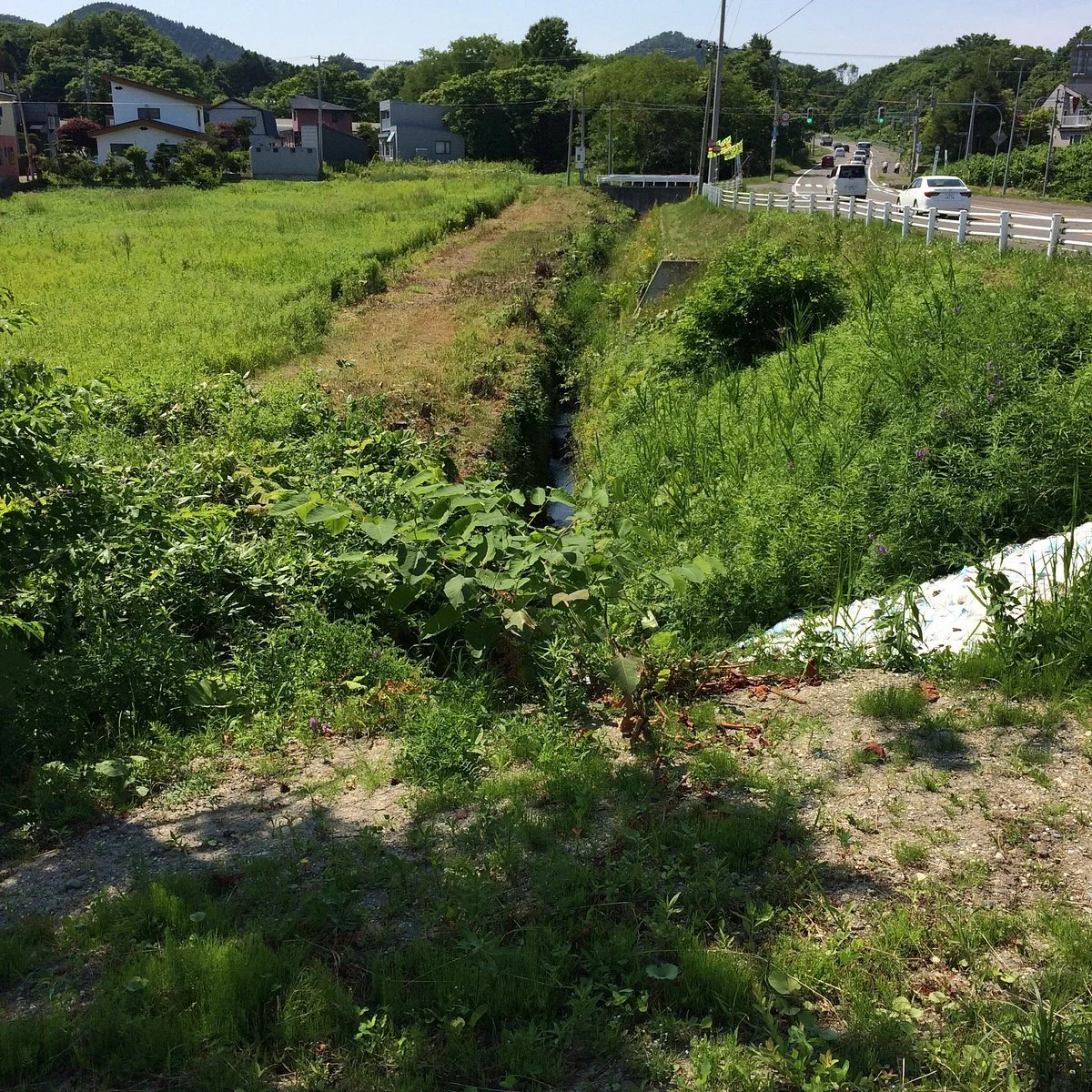 Yarikirenai River