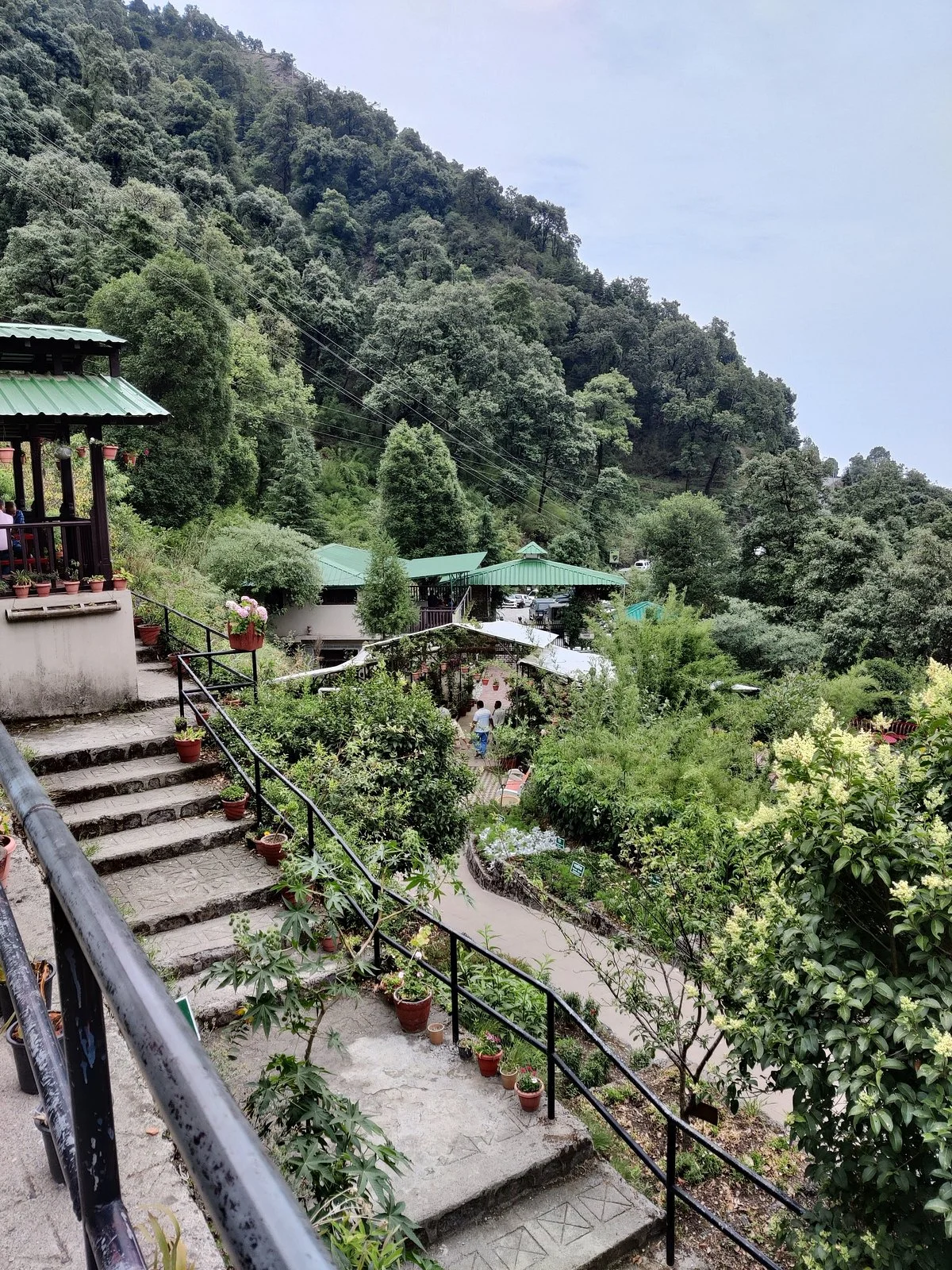 Himalayan Botanical Garden