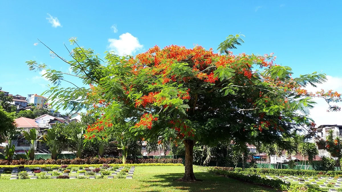 Commonwealth War Cemetery