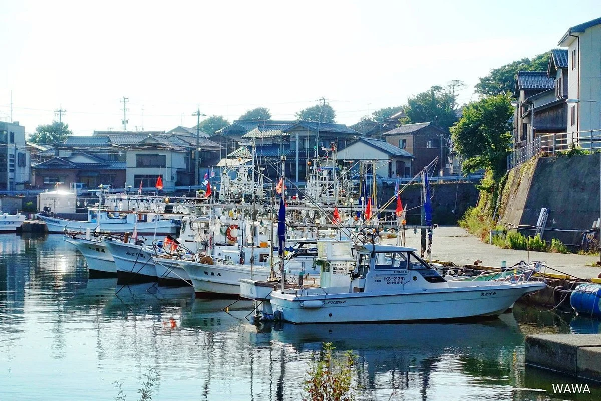 Hashidate Fish Port Area