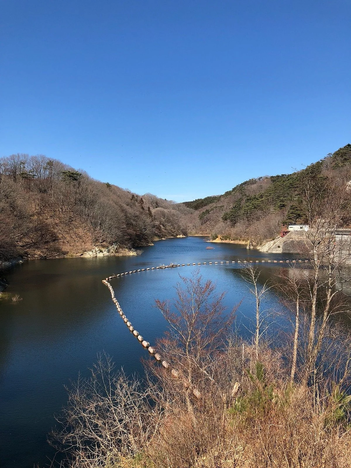 Dake Dam