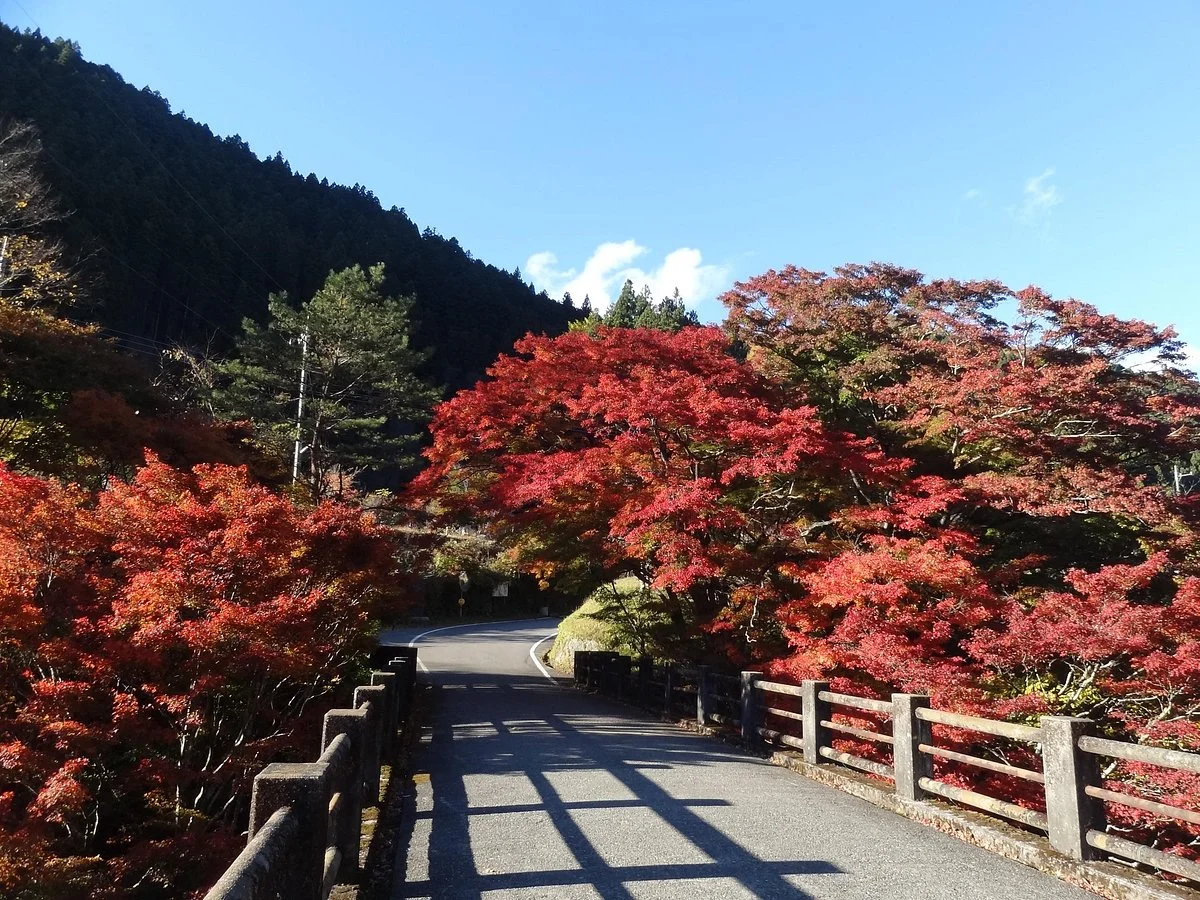 Oashi Canyon