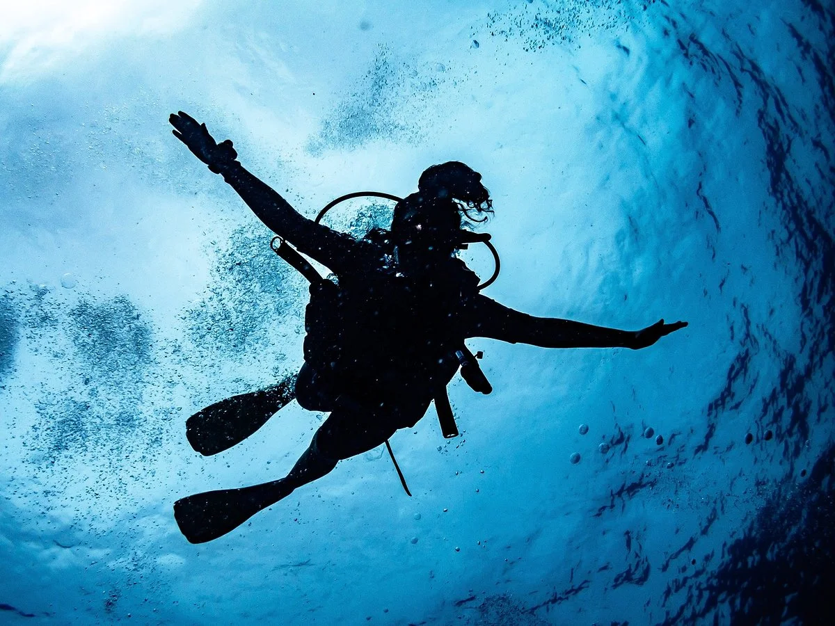 Koh Tao Scuba Club