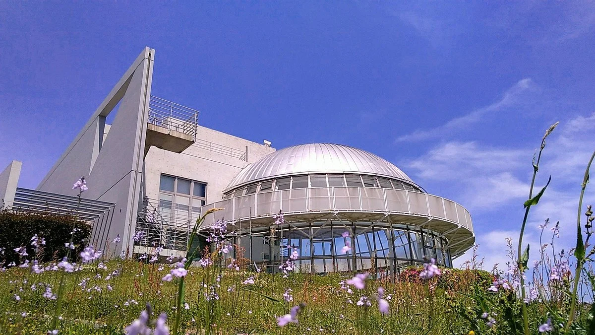 Cosmos Flower Space Hall