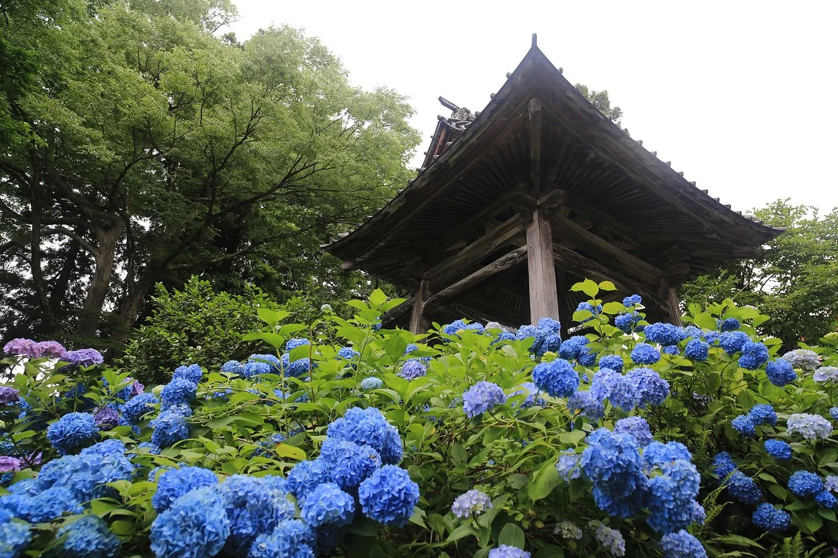 Ajisaidera Kogen-in Temple