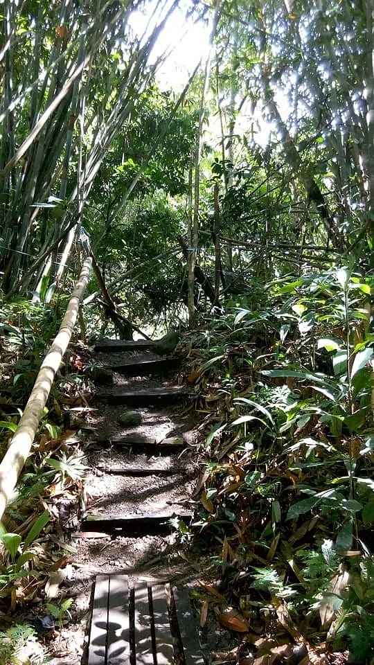 Adenna Rafflesia Garden