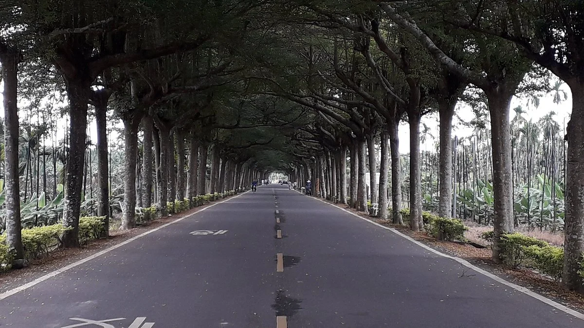 Silin walking trail