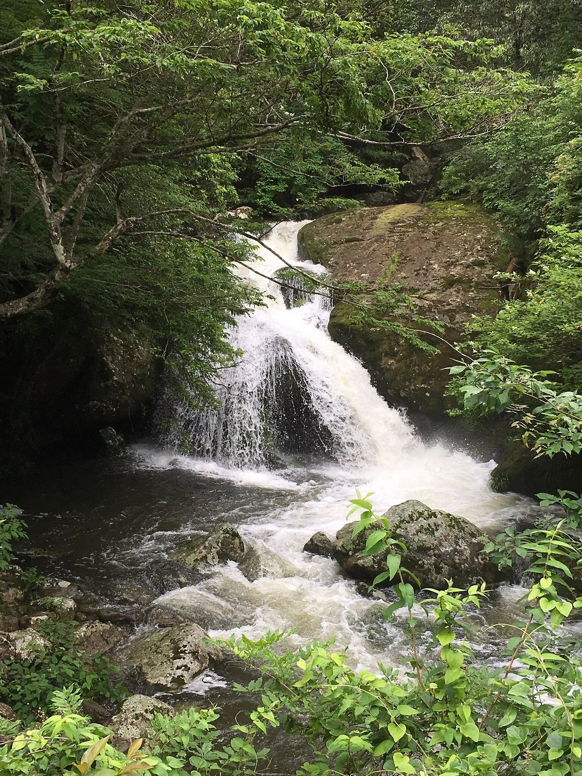 Ruri Valley Nature Park