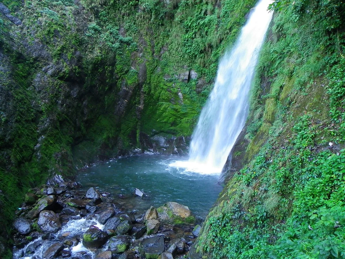 Neora Valley National Park