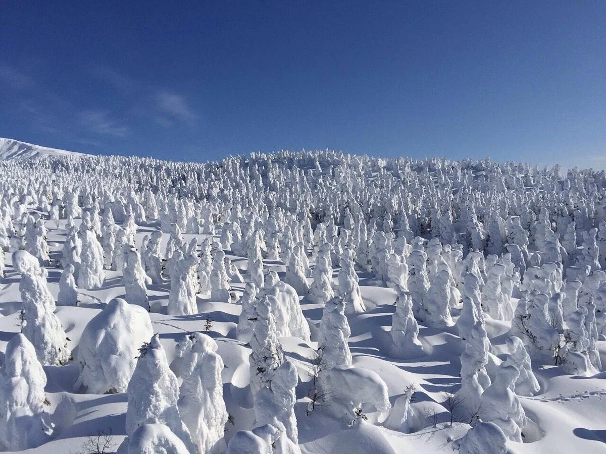 Yamagata Zao Onsen Ski Resort