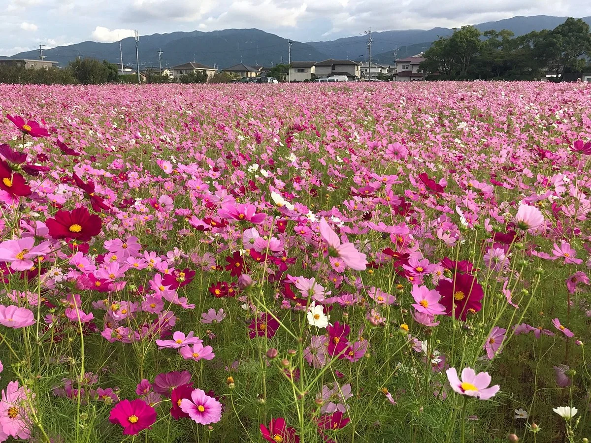 Hirabaru Historical Park