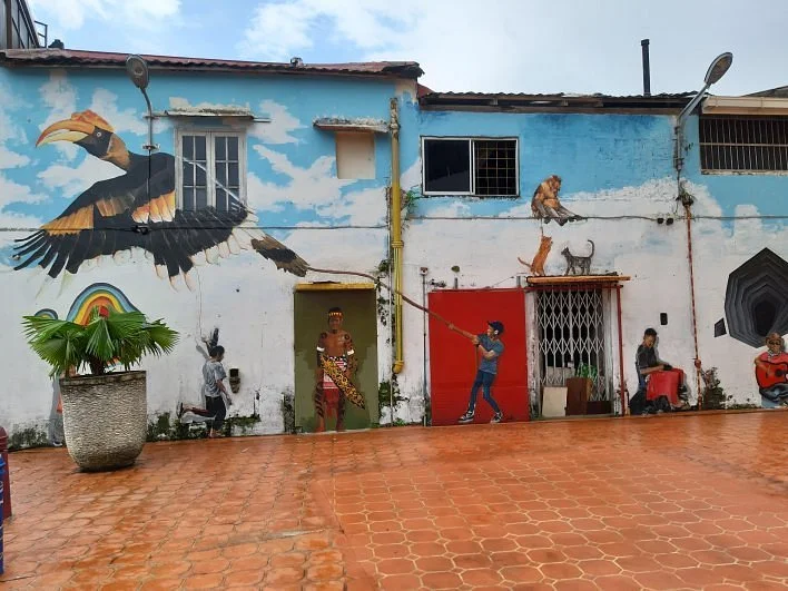 Orang Utan Murals