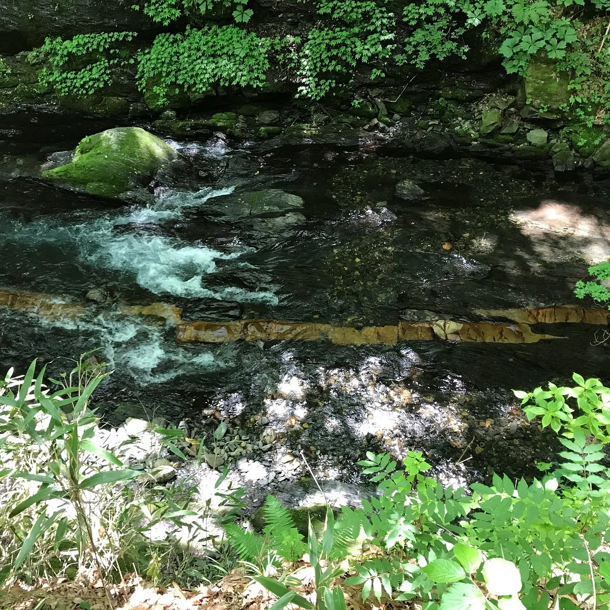 Yokokawa no Jaishi
