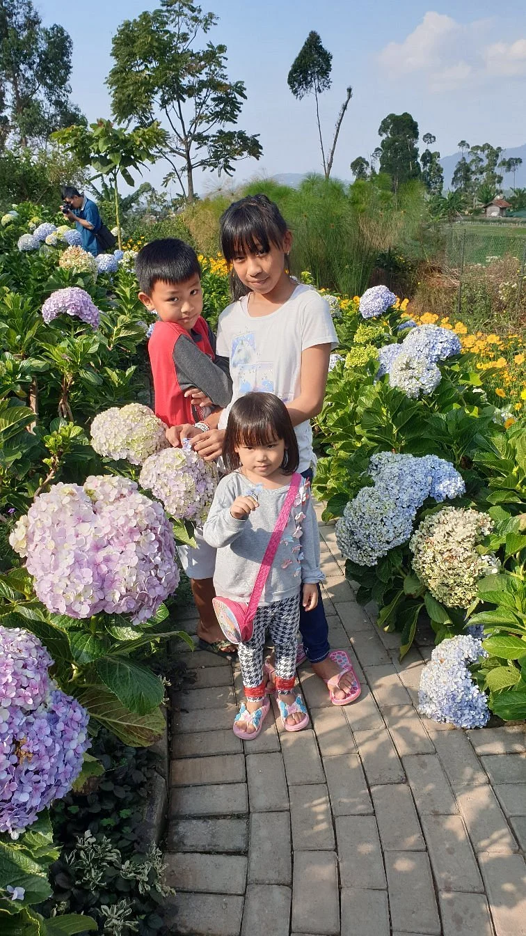 Happy Farm
