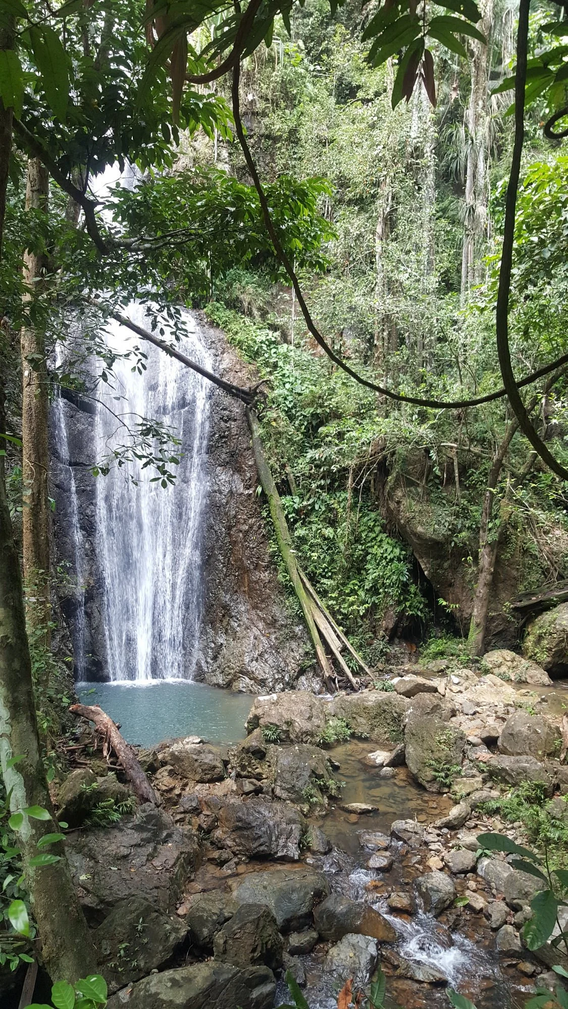 Endau Rompin National Park
