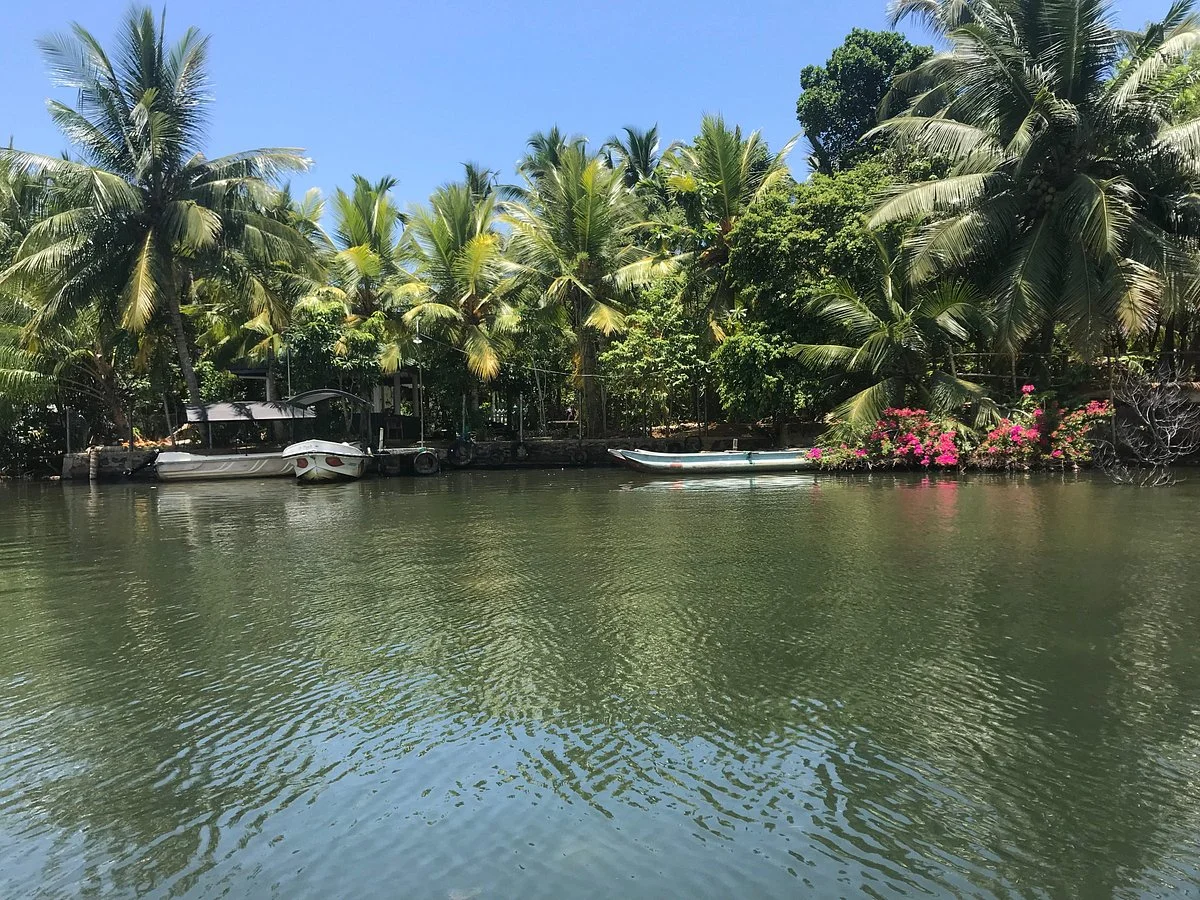 Lagoon Herbal Garden