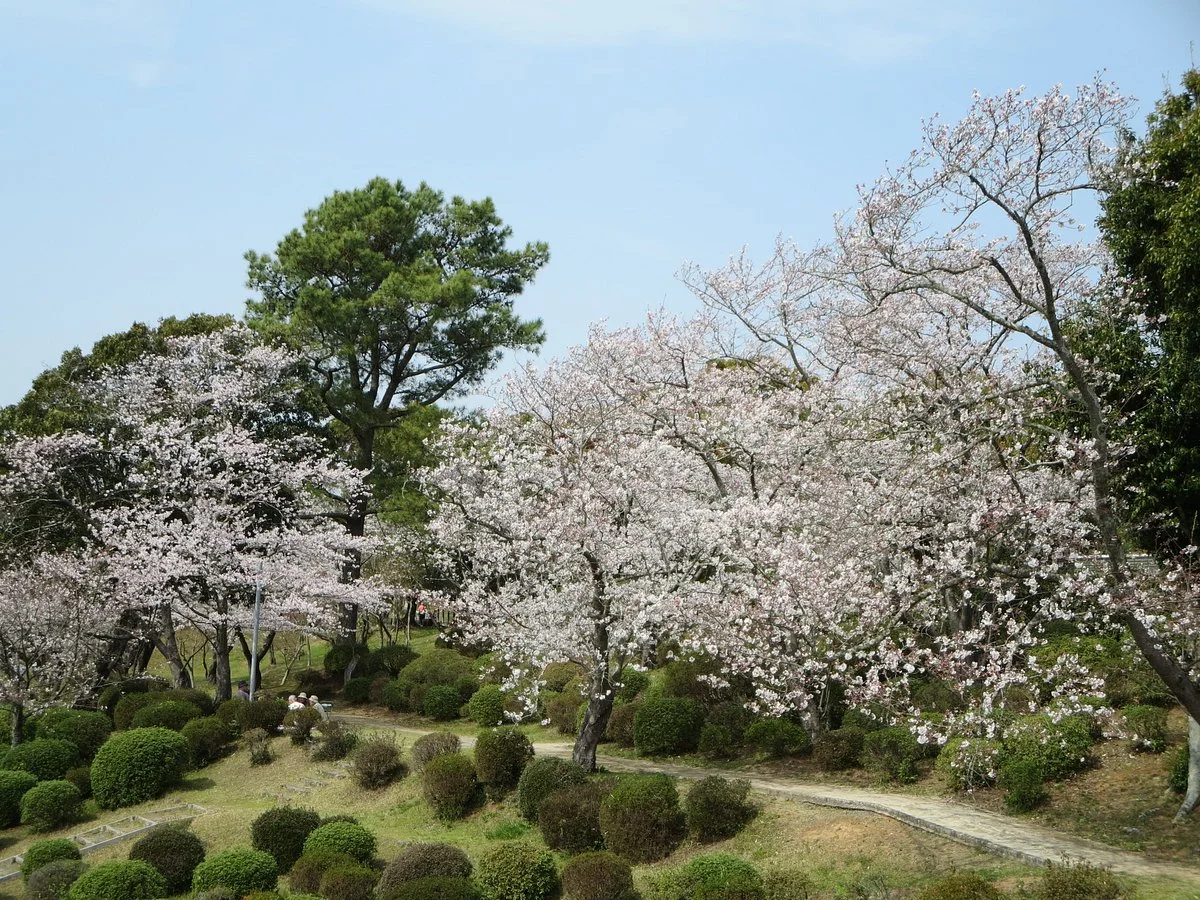 Tabaruzaka Park