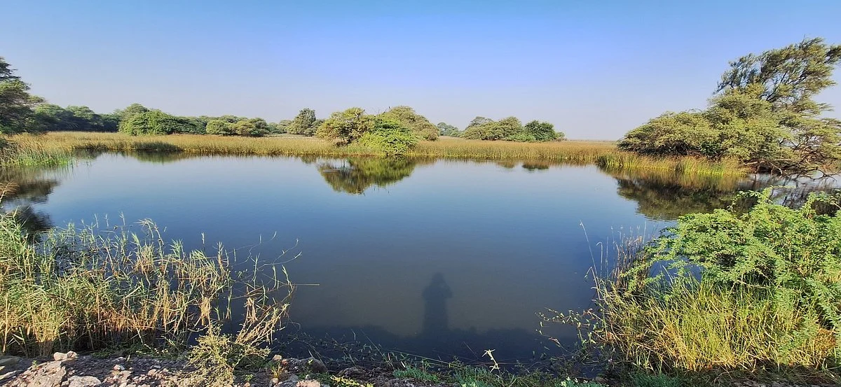 Khijadiya Bird Sanctuary