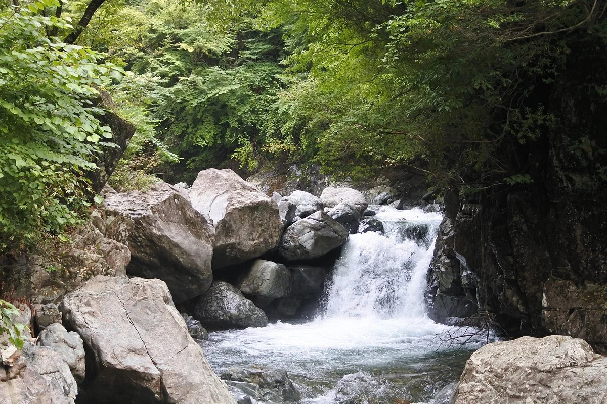 Fukuchi Valley