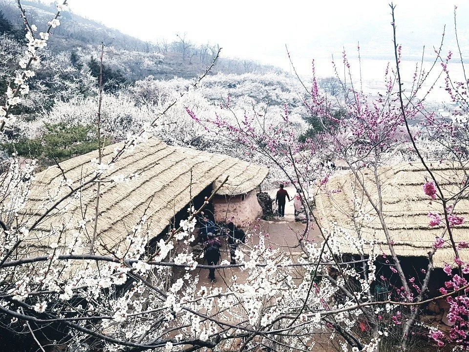 Gwangyang Maehwa Village